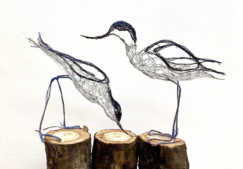 Image: Sarah Dukes, Pair of Avocets, Various Wires 