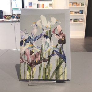 Dwarf Iris Card