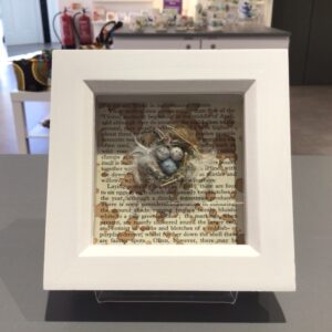 Nest in Frame