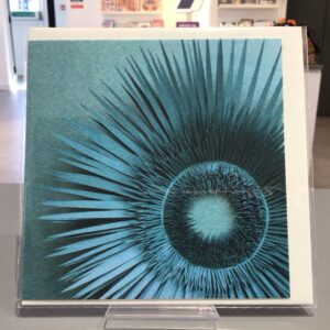 Spiral Detail Card