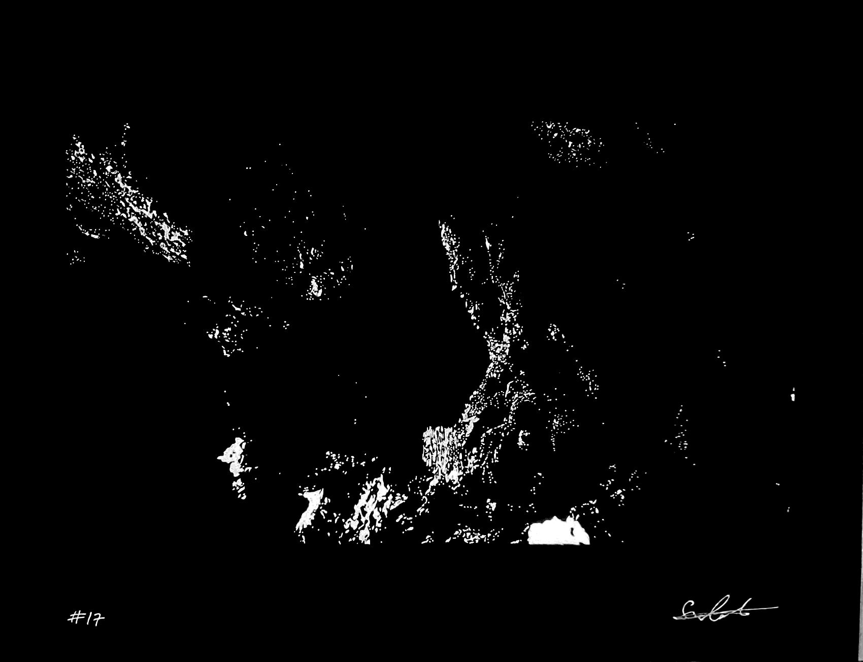 ‘#17’ Print